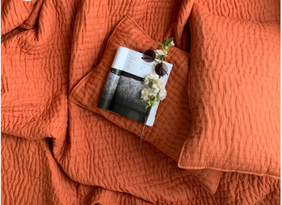 1000329794_38c7f44f-e3c7-4ed0-be1a-822549aa7a07-4x