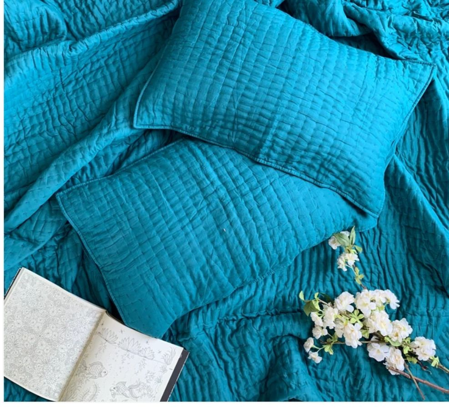 1000329798_646d3cd9-a097-4e62-ab6b-9a4468a075e0-4x